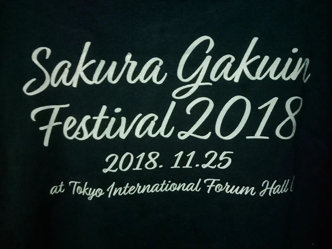Japanese Brand Hoodie Idol Sakura Gakuin 8th Anniversary Original Size L Size US L / EU 52-54 / 3 - 4 Thumbnail