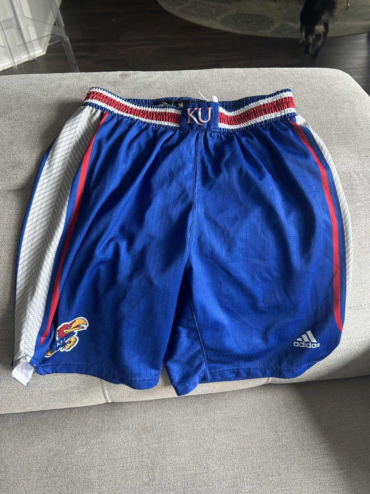 Adidas MEDIUM basketball Kansas Jayhawks player issued shorts Size US 32 / EU 48 - 1 Thumbnail