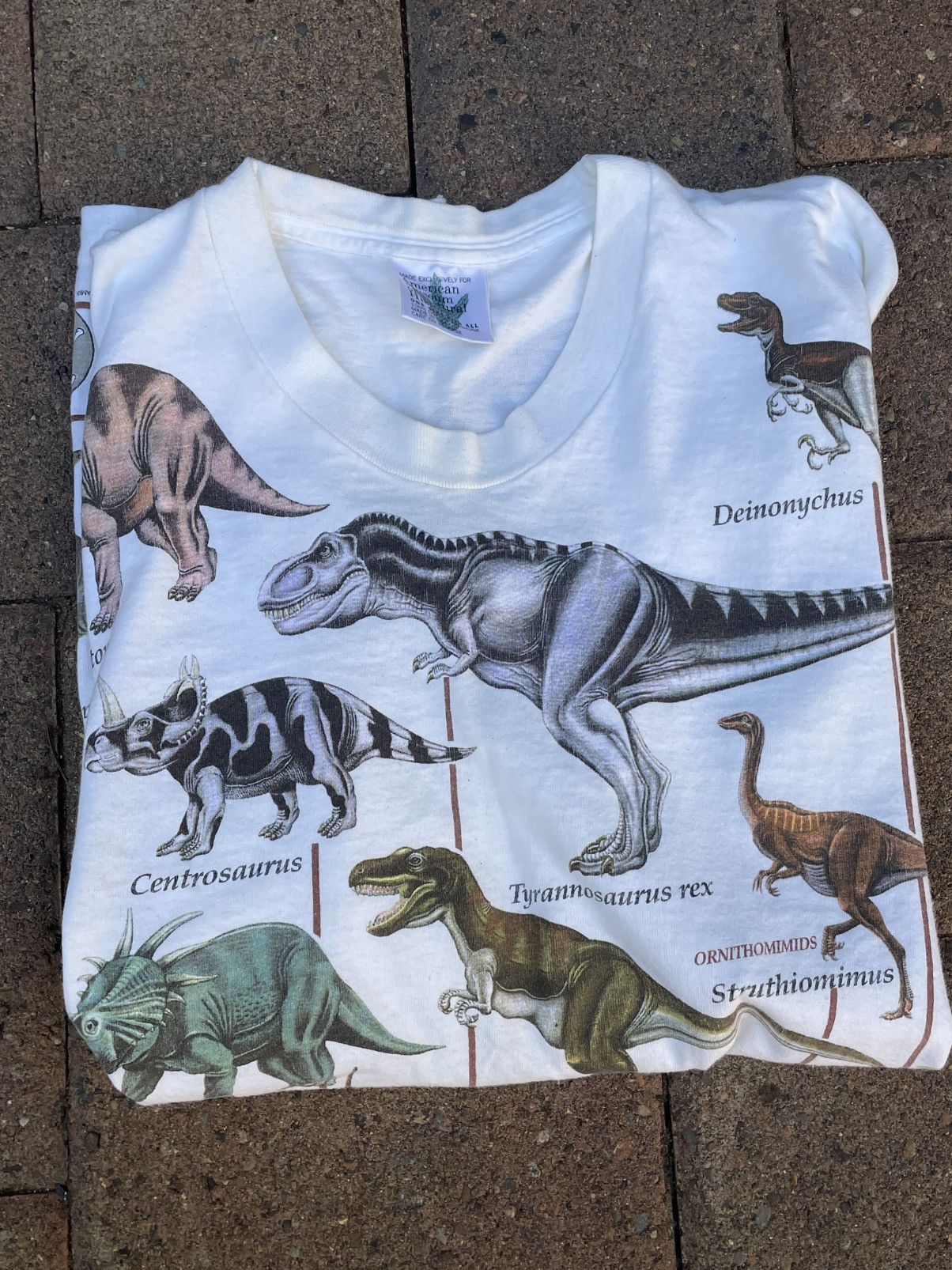 Other Vtg 90s American Museum of Natural History Dinosaur T-Shirt Size US L / EU 52-54 / 3 - 4 Thumbnail