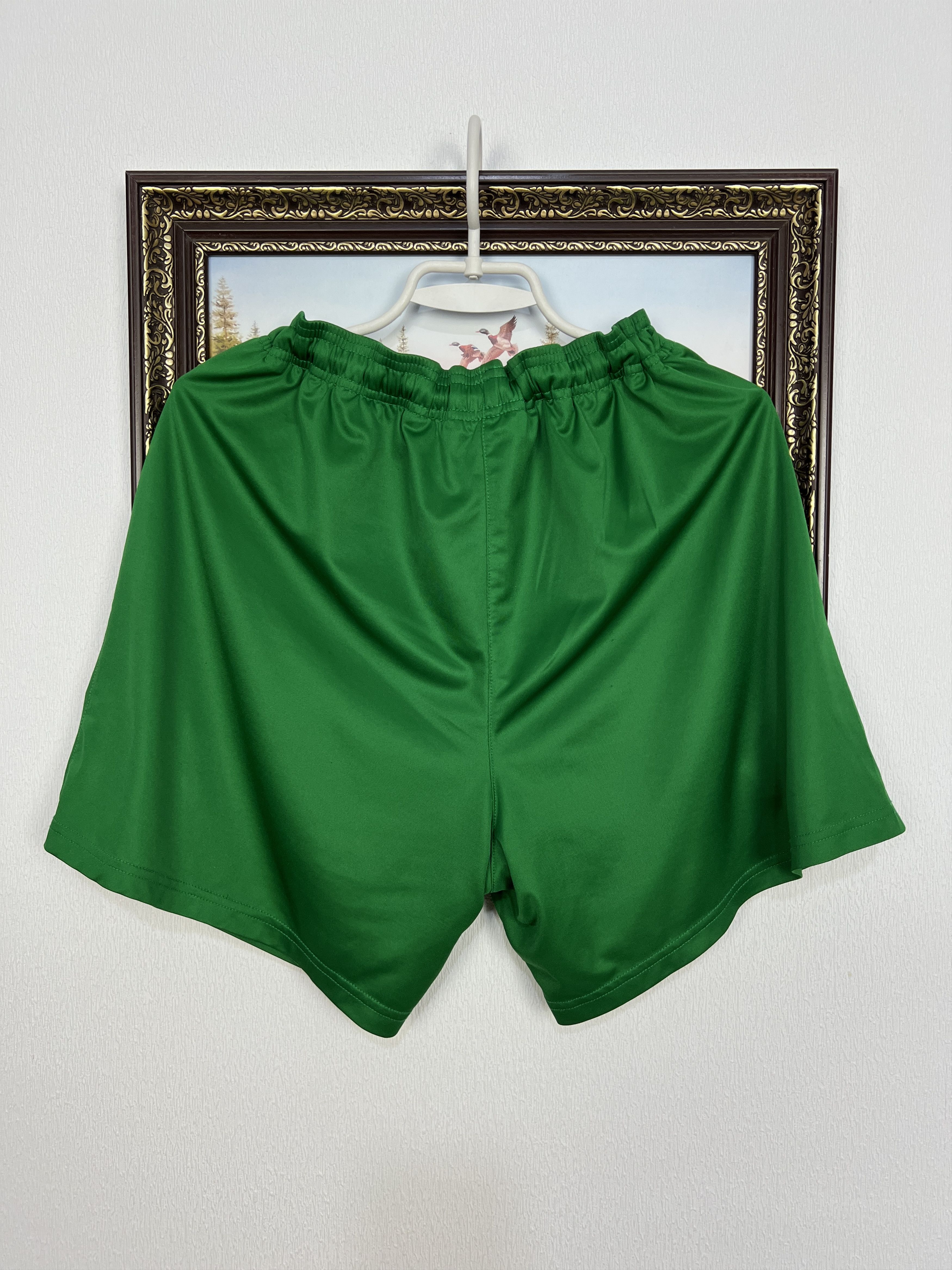 Nike Nike Dynamo Dresden Football Shorts Soccer Green Athletic L Size US 34 / EU 50 - 14 Thumbnail