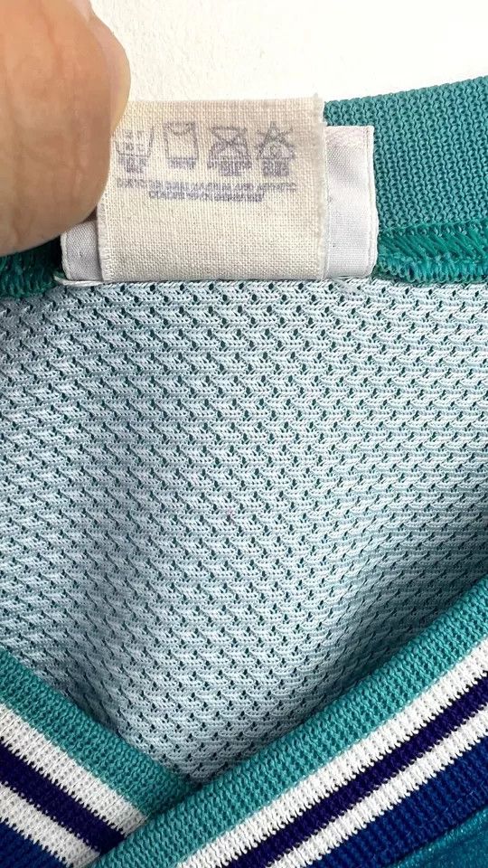 Champion Authentic Vintage Alonzo Mourning Charlotte Hornets Champion Size US L / EU 52-54 / 3 - 6 Thumbnail
