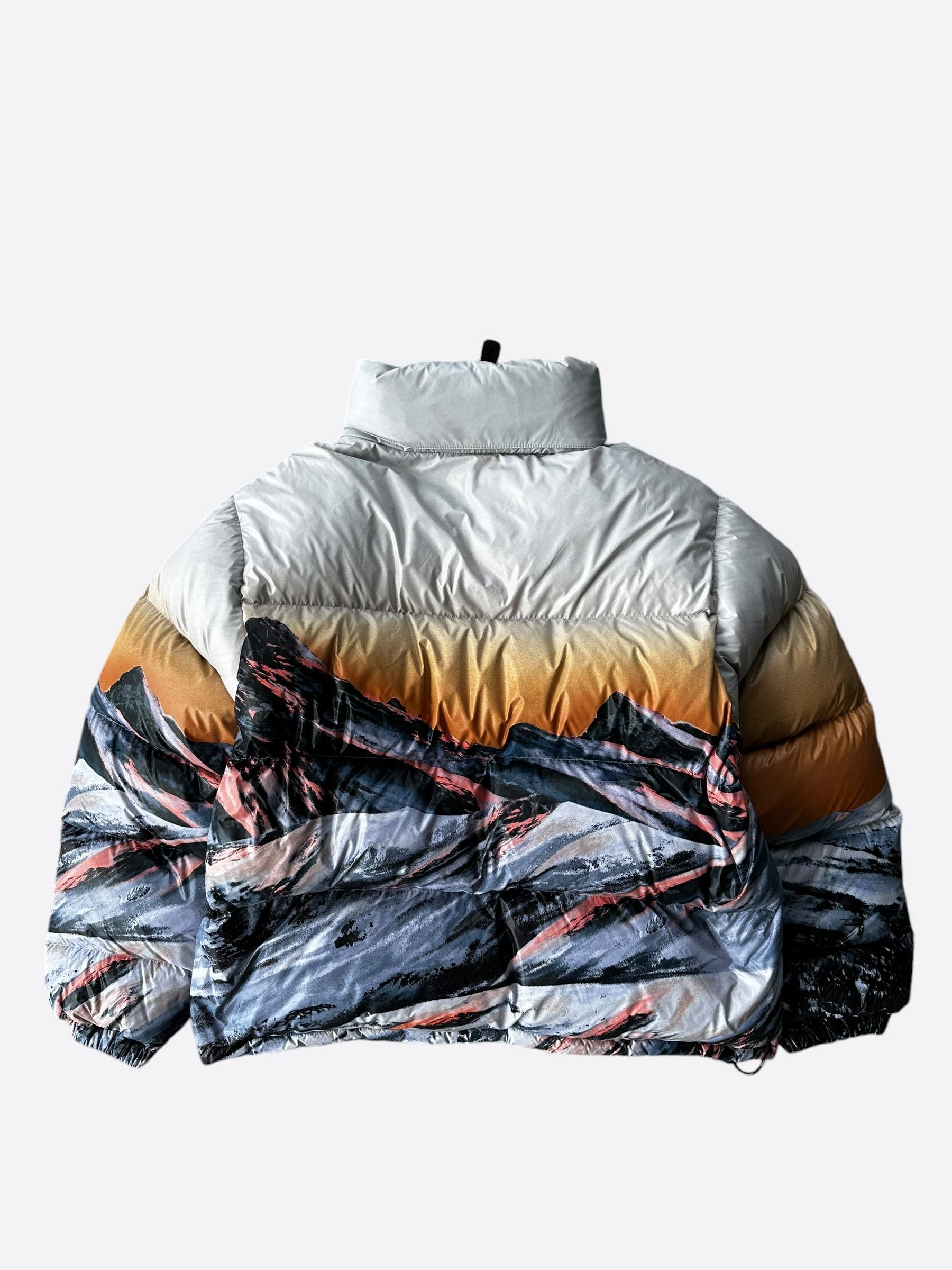 Louis Vuitton Louis Vuitton Mountain Print Puffer Women's Jacket Size L / US 10 / IT 46 - 2 Thumbnail