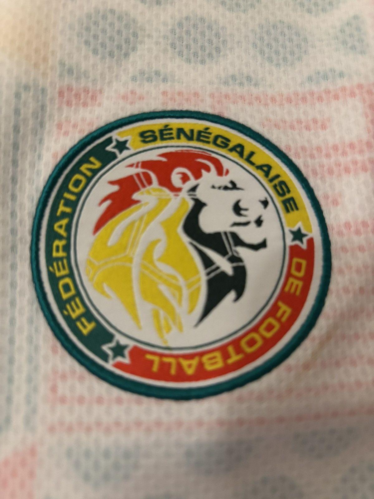 Puma Puma Senegal National Team Training Jersey Size US M / EU 48-50 / 2 - 2 Thumbnail