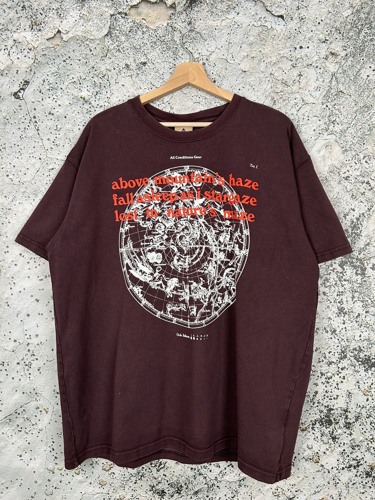 image of Nike Acg Graphic Tee Gorpcore 00S Y2K Hiking in Burgundy, Men's (Size XL)