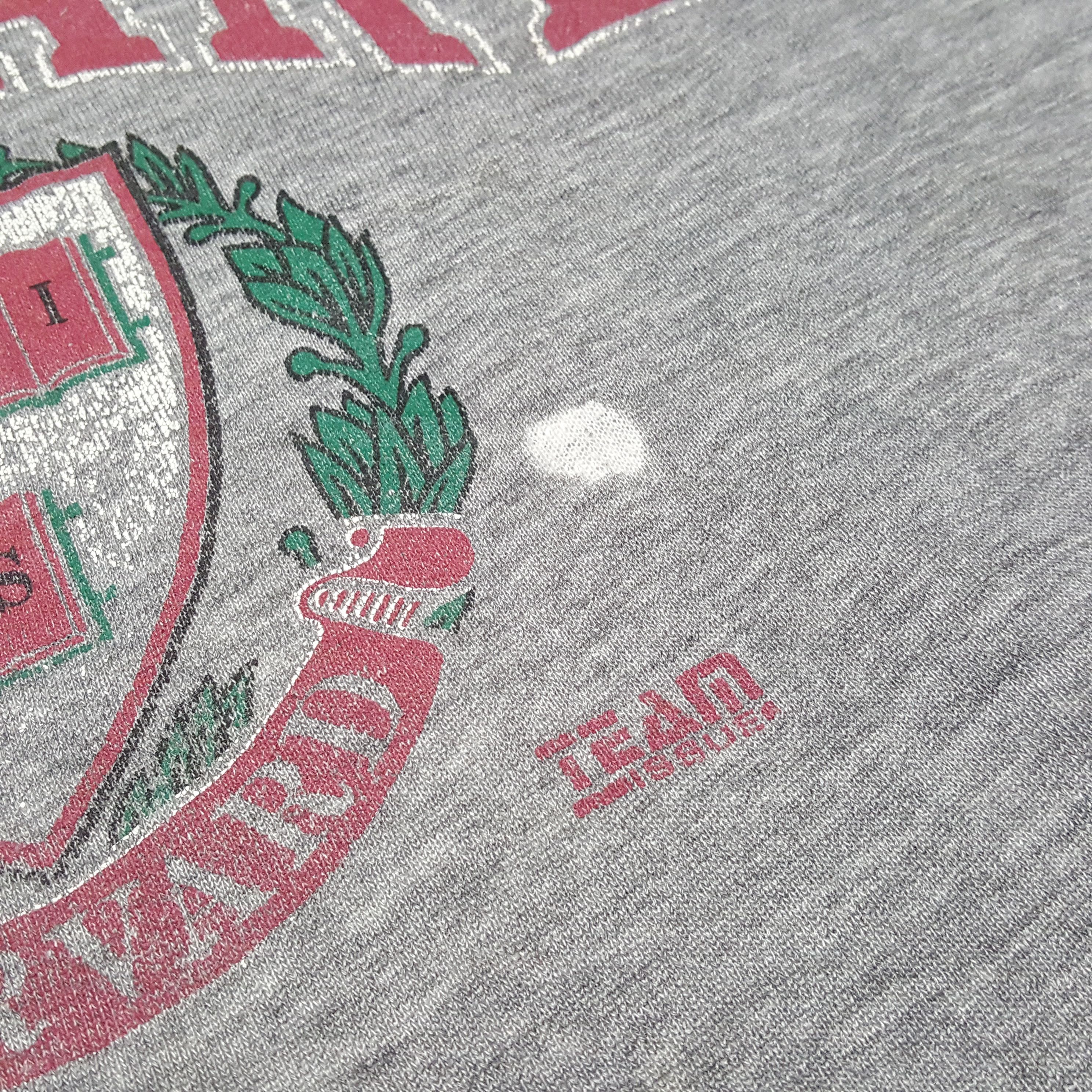 Russell Athletic Vintage Harvard University Distressed Sweatshirt C305N9 Size US M / EU 48-50 / 2 - 8 Thumbnail