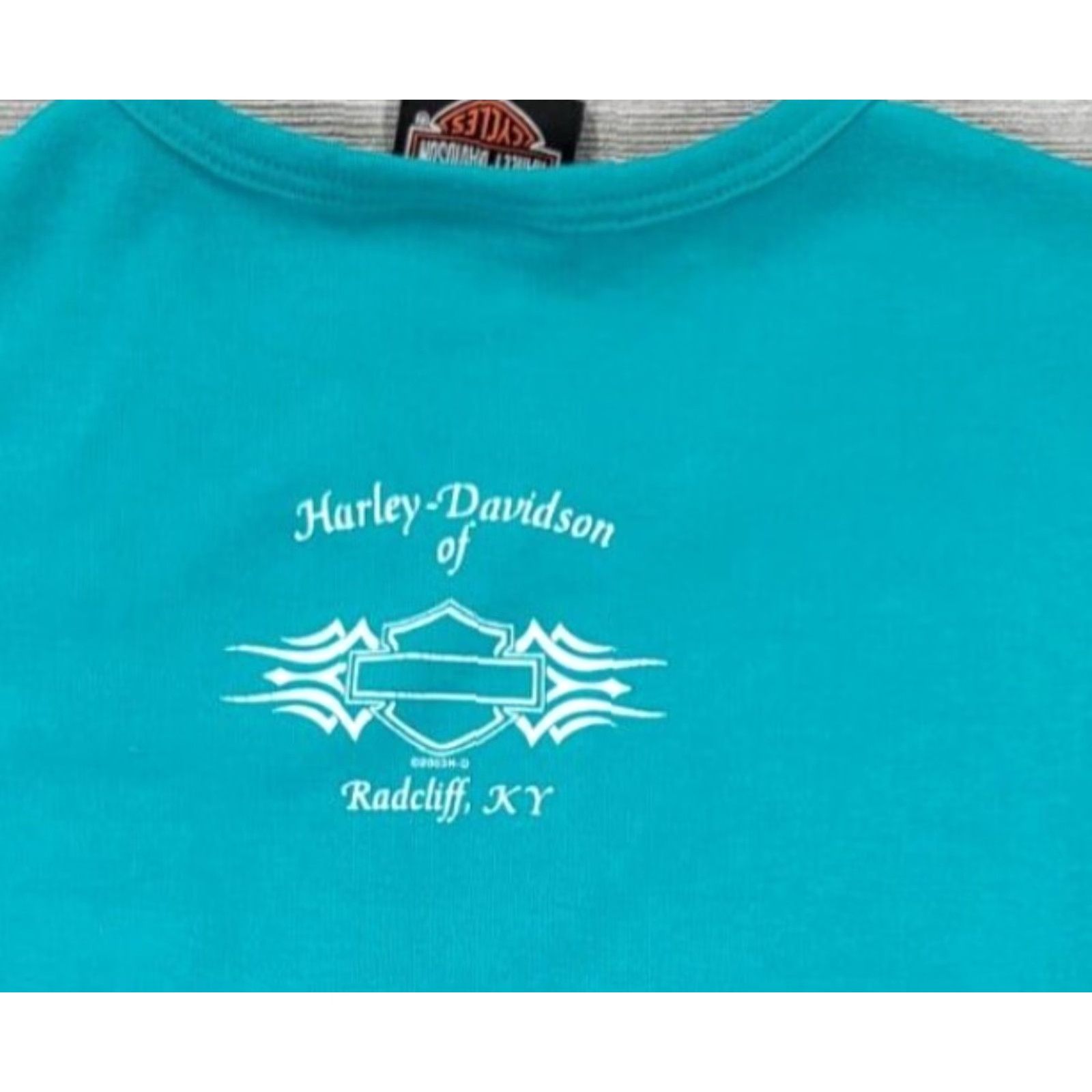 Harley Davidson Harley-Davidson Graphic T-Shirt Womens L Short Sleeve Teal Green HD 2003 Motorcycle Graphic 100% Cotton Regular Mens Womens Girls Boys Size L / US 10 / IT 46 - 4 Thumbnail