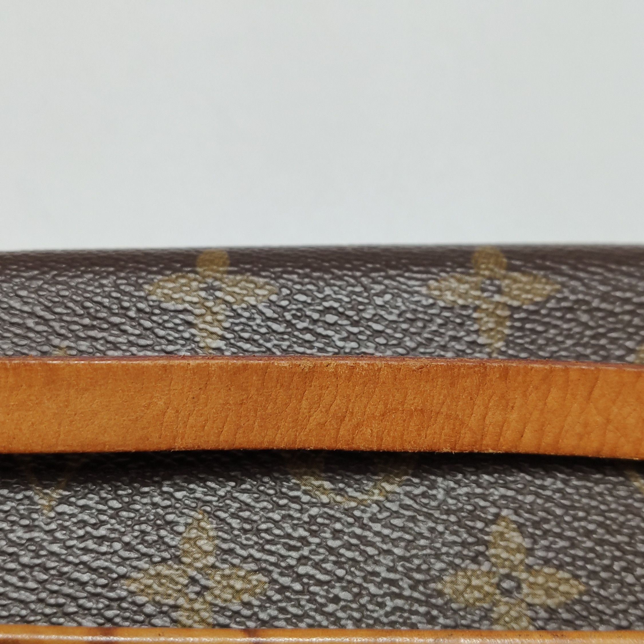 Louis Vuitton Louis Vuitton (LV) Florentine vegetable tanned leather Mono Size ONE SIZE - 6 Thumbnail