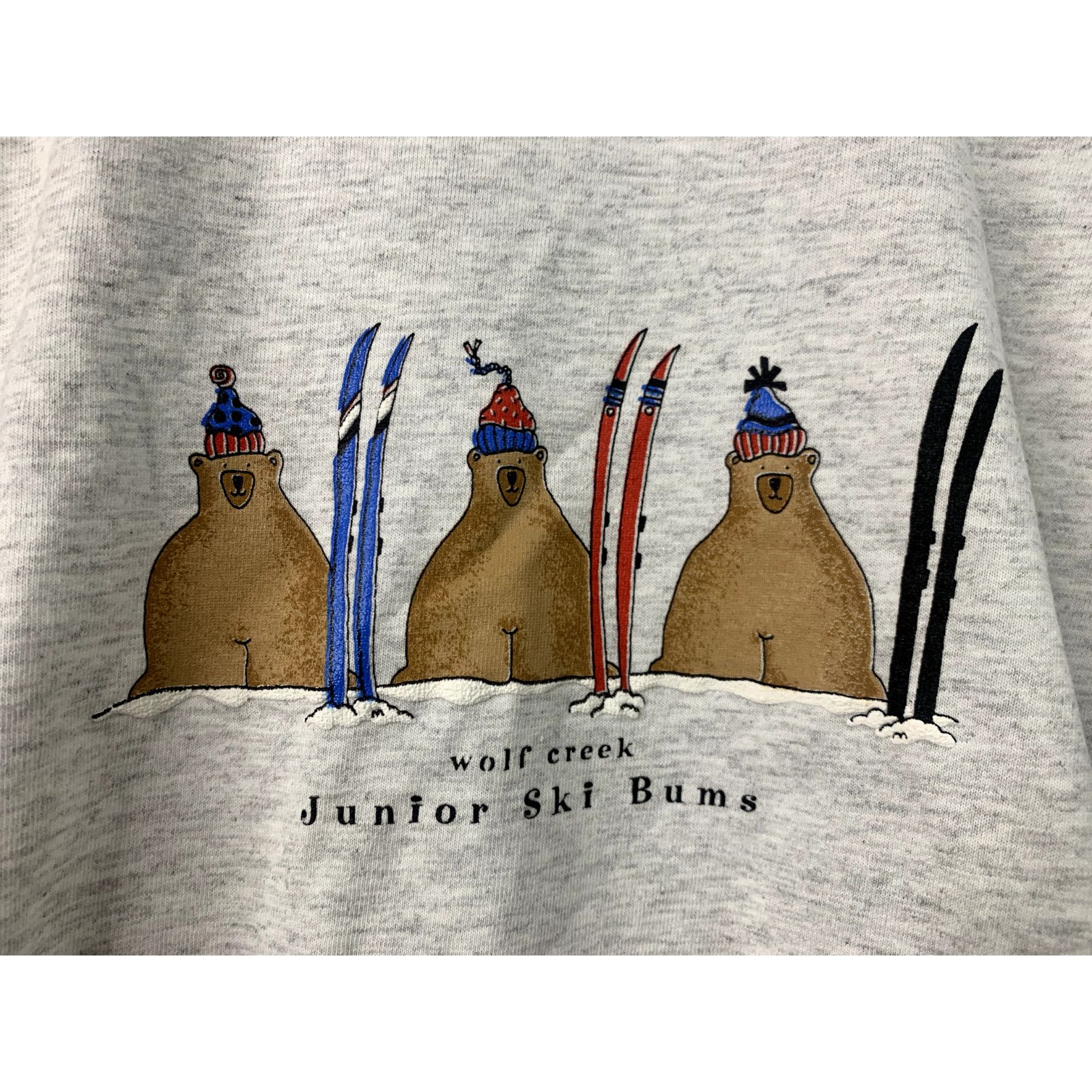 Jerzees 90s Vintage Youth L Gray Wolf Creek Junior Ski Bums Shirt Size L / US 10 / IT 46 - 2 Thumbnail