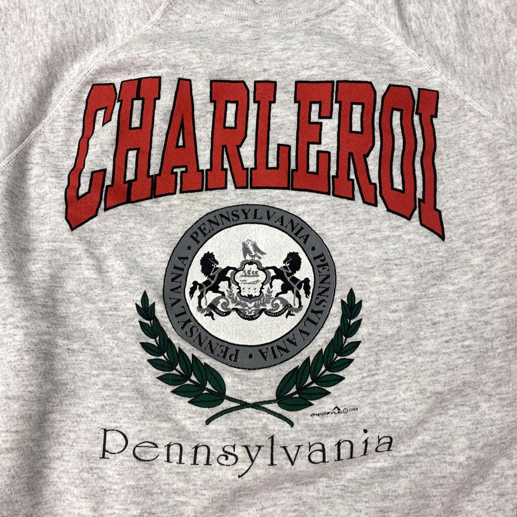Hanes VINTAGE Hanes Sweatshirt Mens 2XL Gray Crewneck Graphic Print 1992 Charleroi USA Patriotic 90s Shown as is Size US XXL / EU 58 / 5 - 2 Thumbnail
