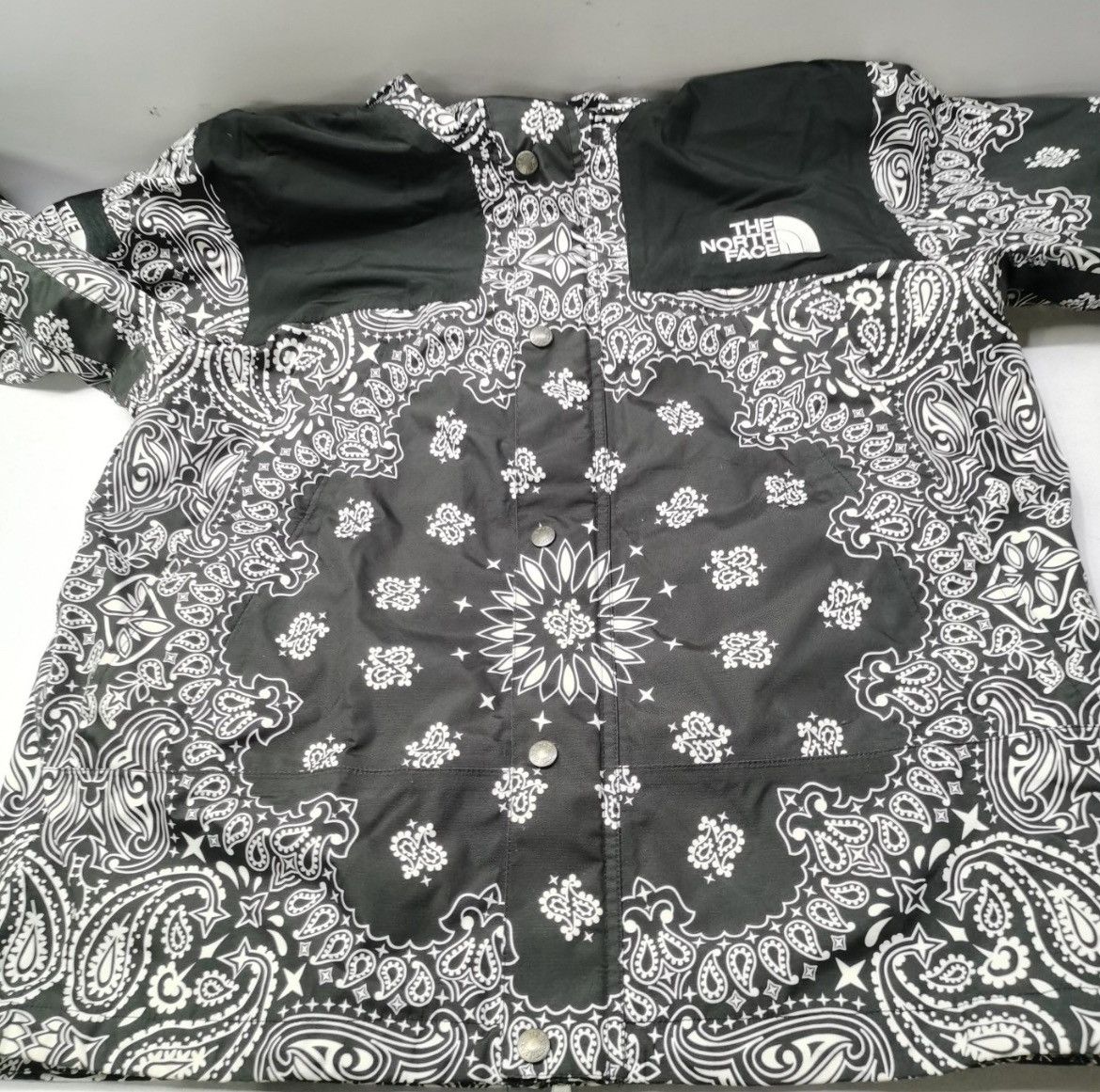 Supreme × The North Face Supreme x The North Face Bandana Mountain Jacket Size US L / EU 52-54 / 3 - 11 Thumbnail