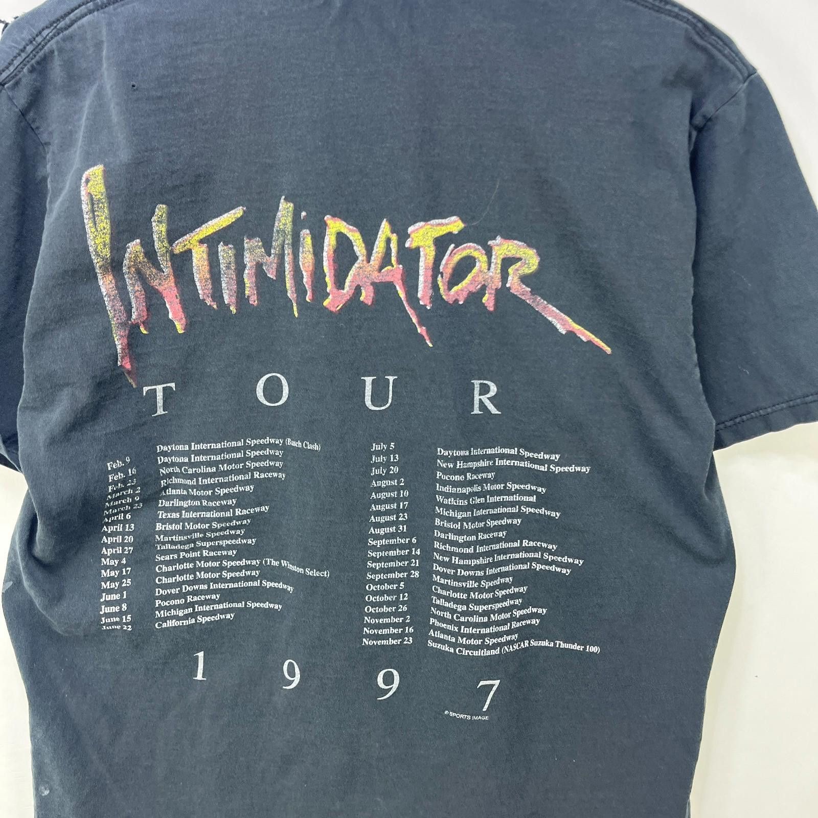 Vintage Vintage Dale Earnhardt NASCAR Racing Sun Faded T Shirt Large Size US L / EU 52-54 / 3 - 7 Thumbnail