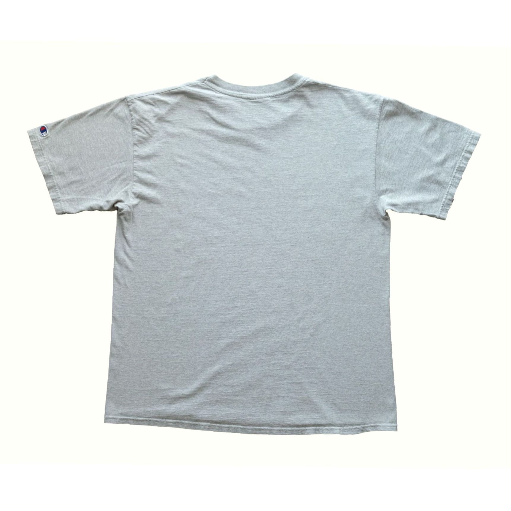 Champion VINTAGE Champion Depauw University Liberal Arts 90s VTG Y2K Mens Adult T-Shirt Gray SZ L Size US L / EU 52-54 / 3 - 3 Thumbnail