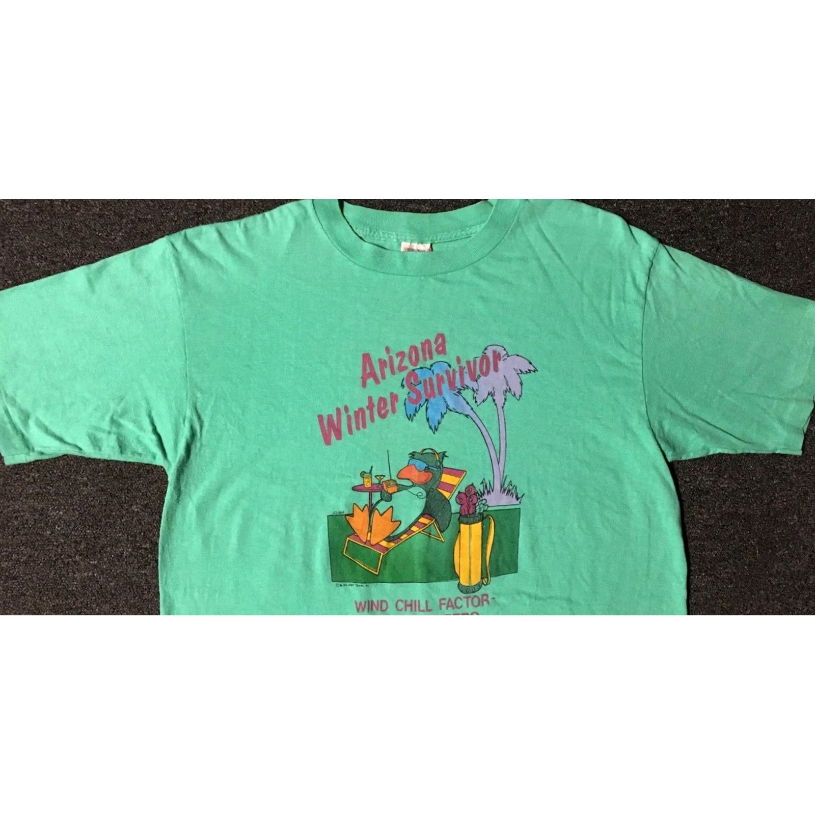 Vintage VINTAGE Arizona Winter Survivor Faded T-Shirt XL Green Funny Animal Duck Grunge Joke 80s 90s Mens XL USA United States Single Stitch Size XL Size US XL / EU 56 / 4 - 5 Thumbnail