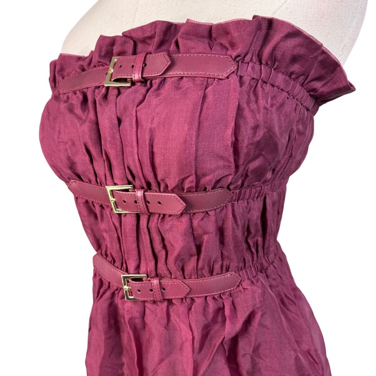 Cynthia Rowley Cynthia Rowley Buckle Up Silk Organza Dress burgundy size M Size M / US 6-8 / IT 42-44 - 8 Thumbnail