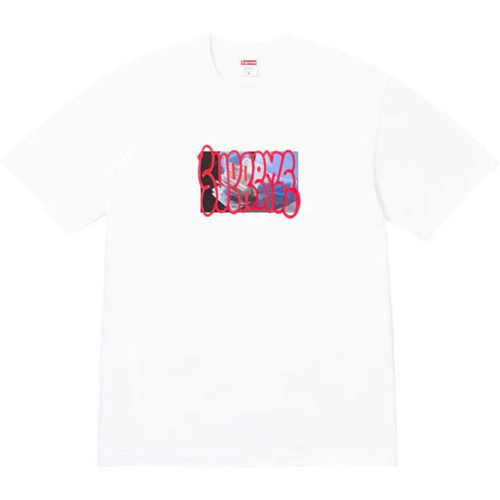 Image of Supreme Payment Tee in White, Men's (Size 2XL)