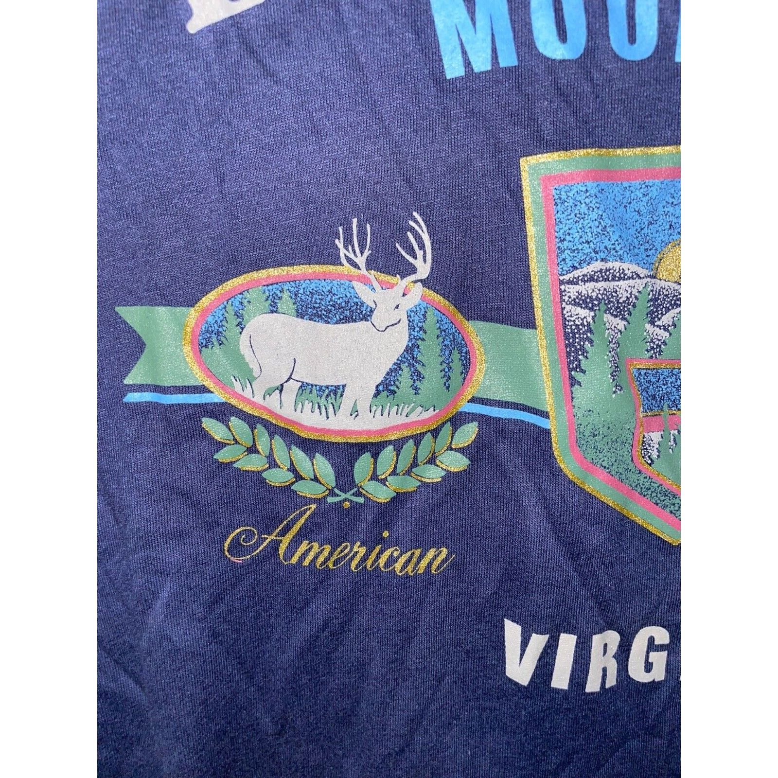 Jerzees Vintage Blue Ridge Mountains Shirt VA Virginia Tee 90s M Size US M / EU 48-50 / 2 - 3 Thumbnail
