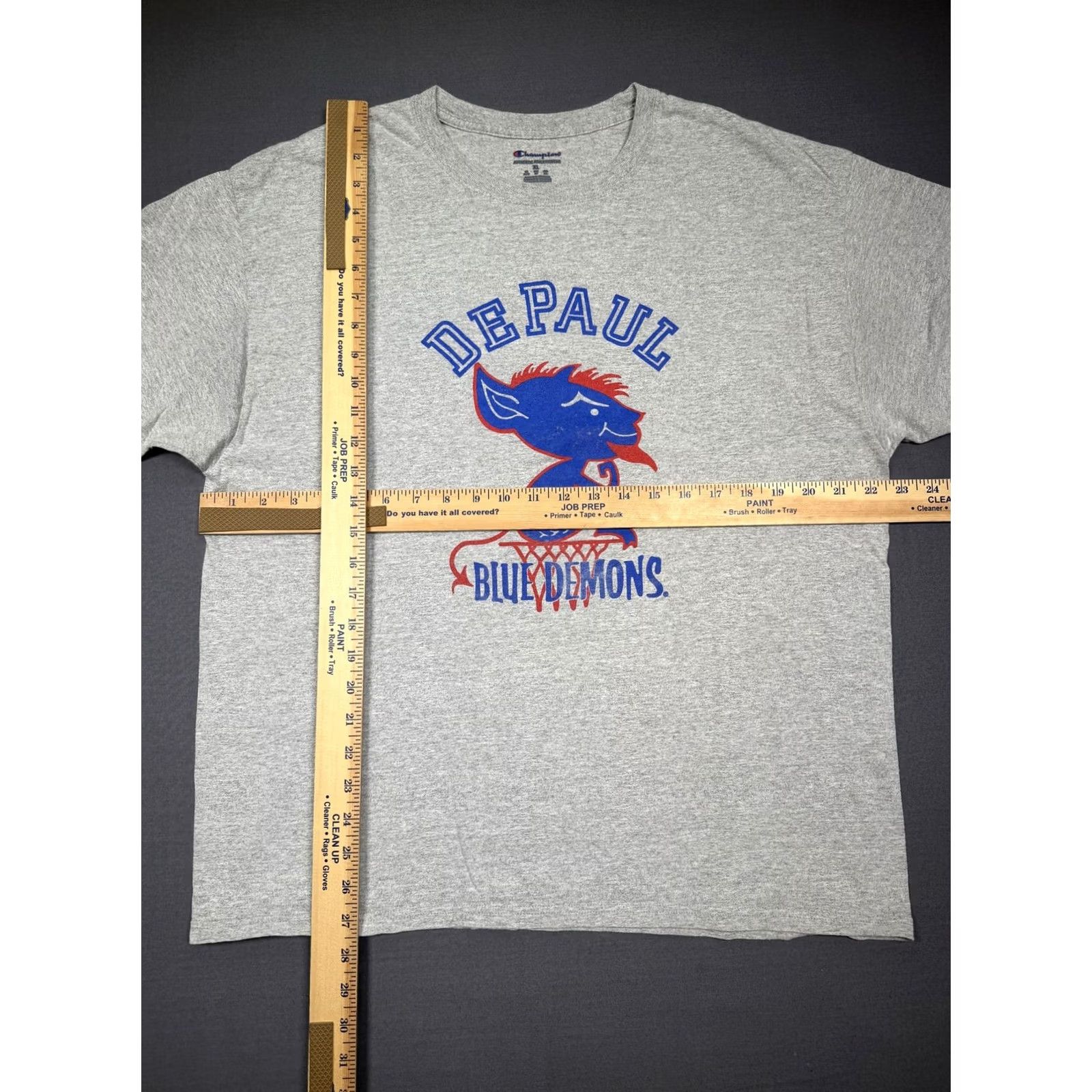 Champion VINTAGE DePaul Blue Demons Shirt Mens XL Gray Champion College Graphic Tee T-Shirt Size US XL / EU 56 / 4 - 6 Thumbnail