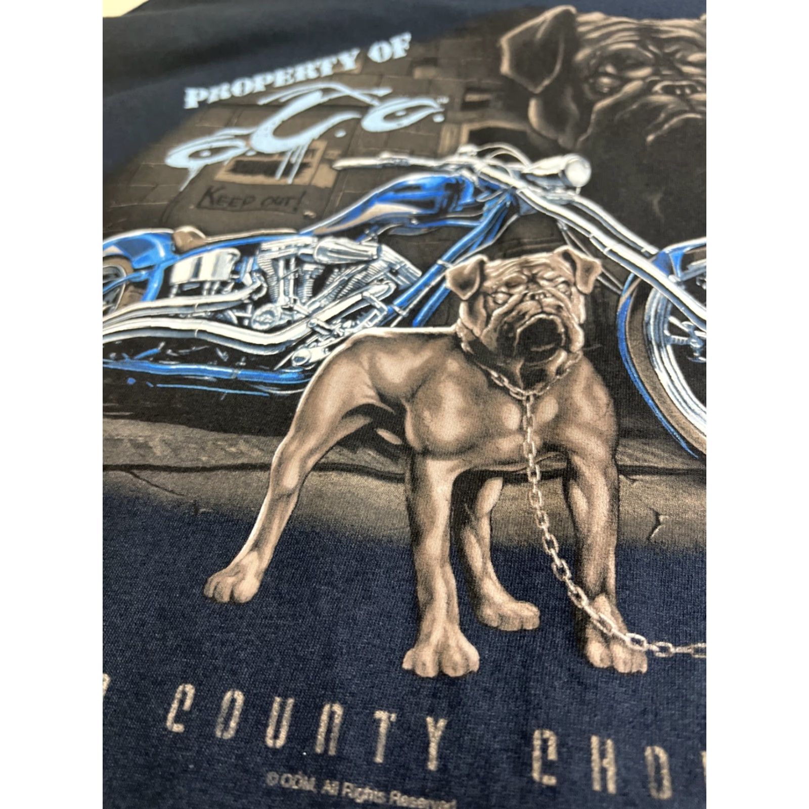 Vintage VINTAGE Tennessee River Shirt XL Blue Graphic Print Dog Back Biker Motorcycle Double-Sided NWT Nos Men Crew Neck Short Sleeve Cotton 2000s 00s Size US XL / EU 56 / 4 - 5 Thumbnail