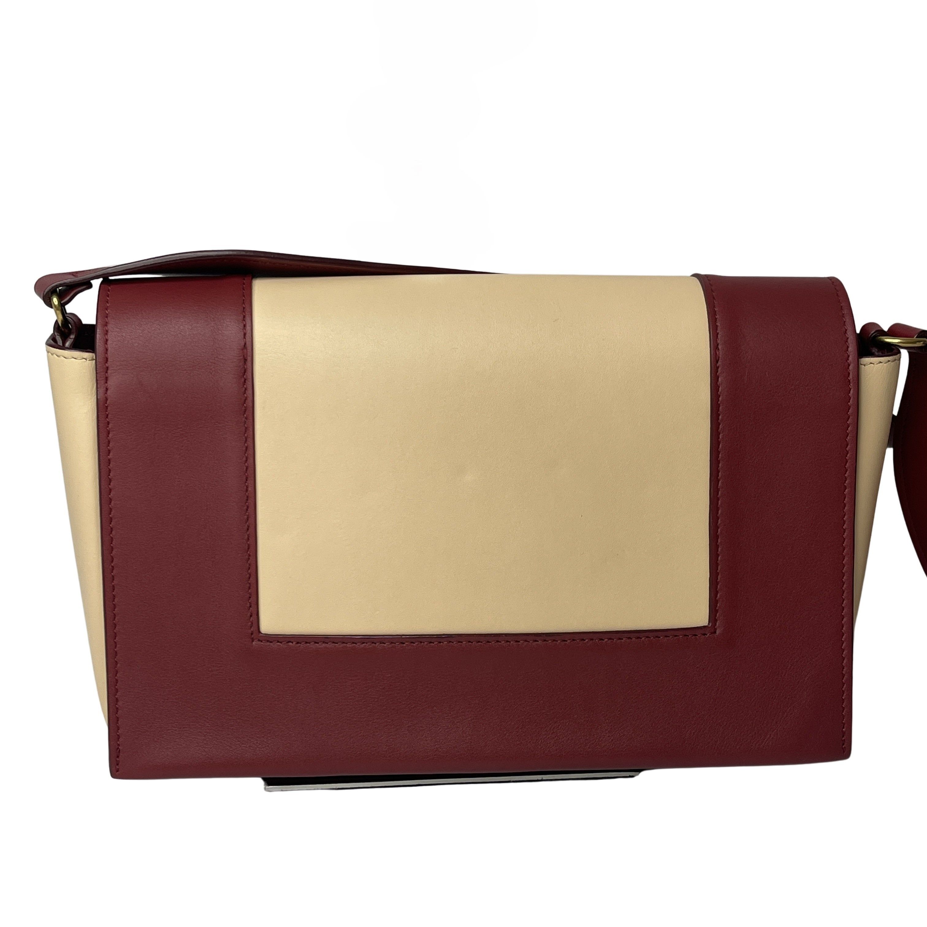Celine Triomphe Frame Chain Shoulder Bag Leather