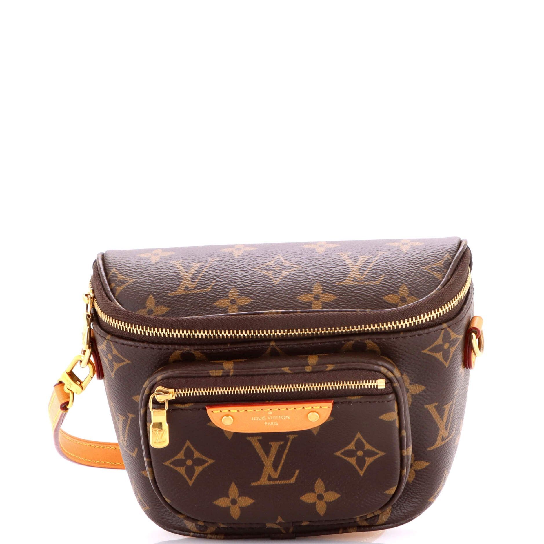 Louis Vuitton Bum Bag Size ONE SIZE - 1 Thumbnail