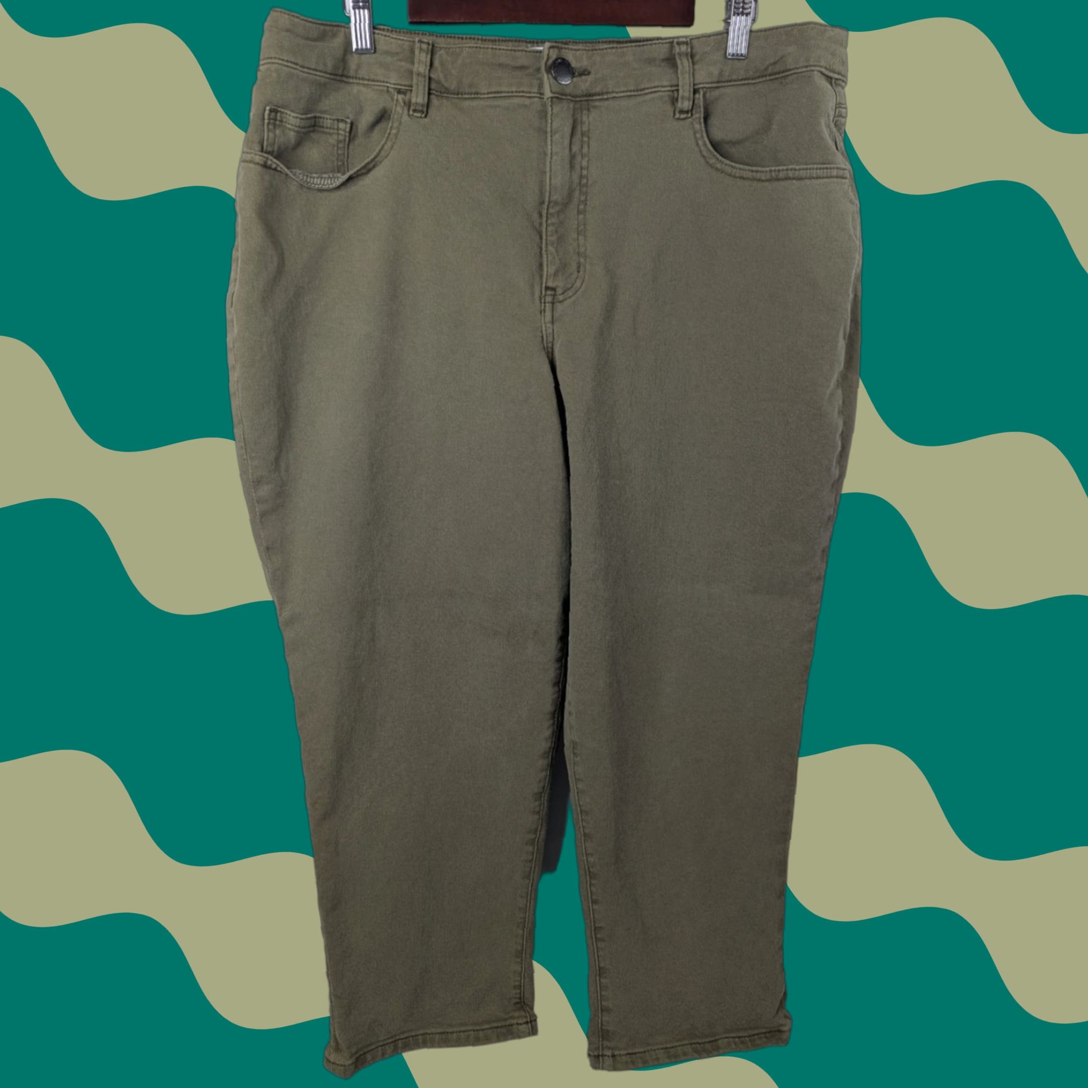 Vintage Lane Bryant Green Capri Pants Women Plus 16 Stretch Comfort Mid-Rise Size 38" / US 16 / IT 52 - 1 Thumbnail