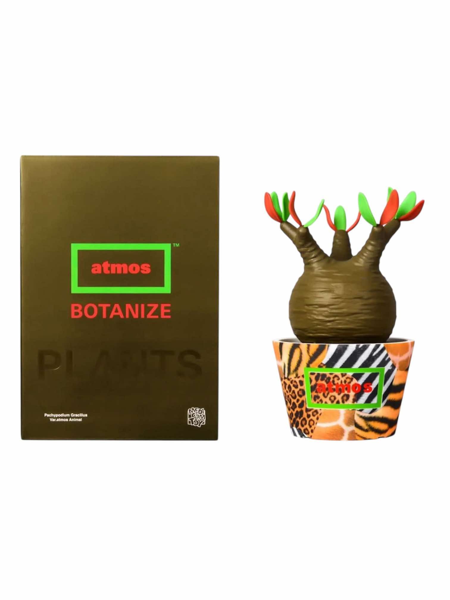 atmos MEDICOM TOY × ATMOS × BOTANIZE Pachypodium Gracilius Size ONE SIZE - 2 Thumbnail