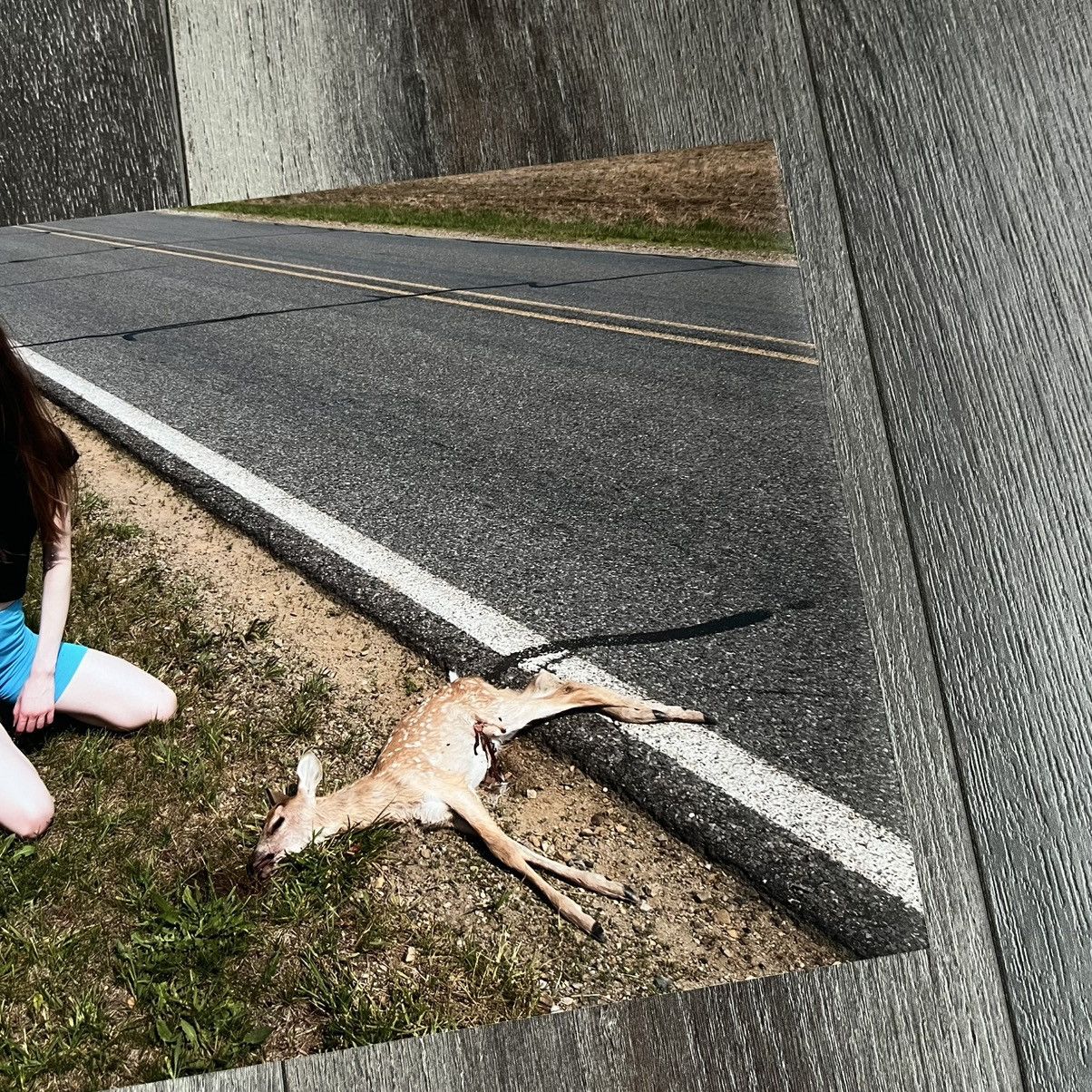 Drain Gang Snow Strippers Tati Dying Fawn Print Photograph 1/100 Rare Size ONE SIZE - 5 Thumbnail