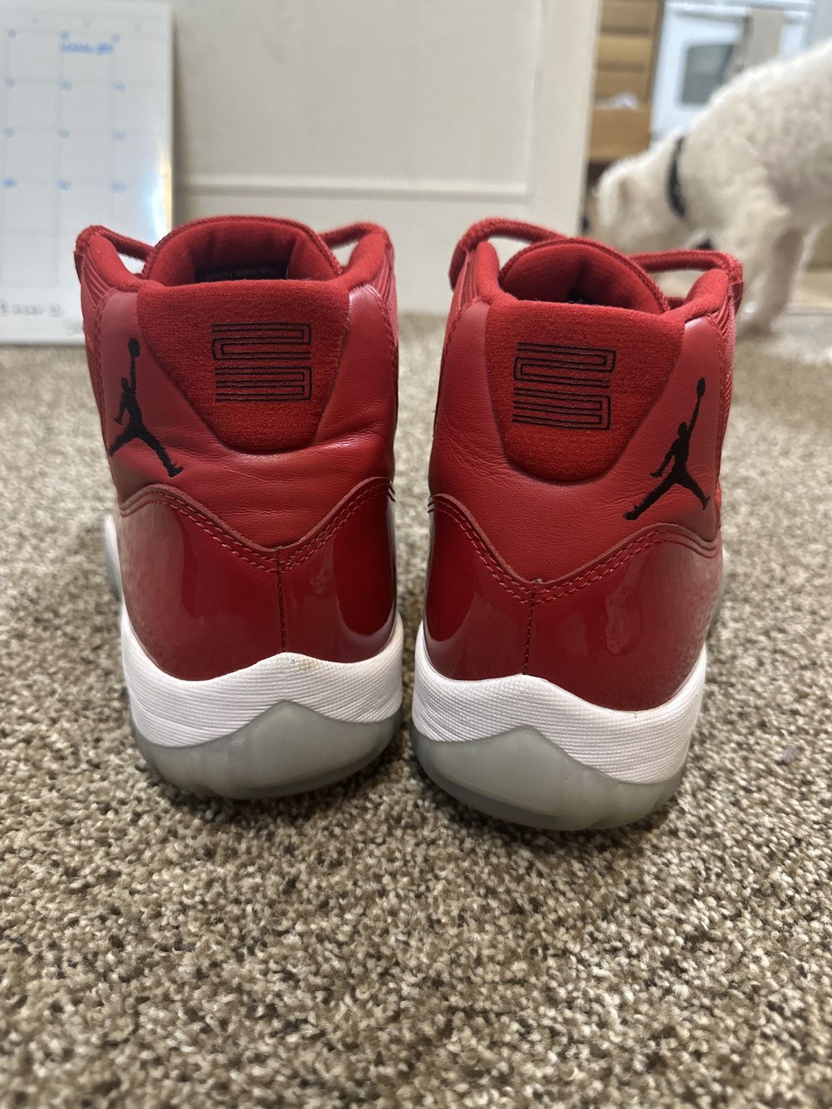 Jordan Brand × Nike Win like 96 Jordan retros Size US 9.5 / EU 42-43 - 3 Thumbnail