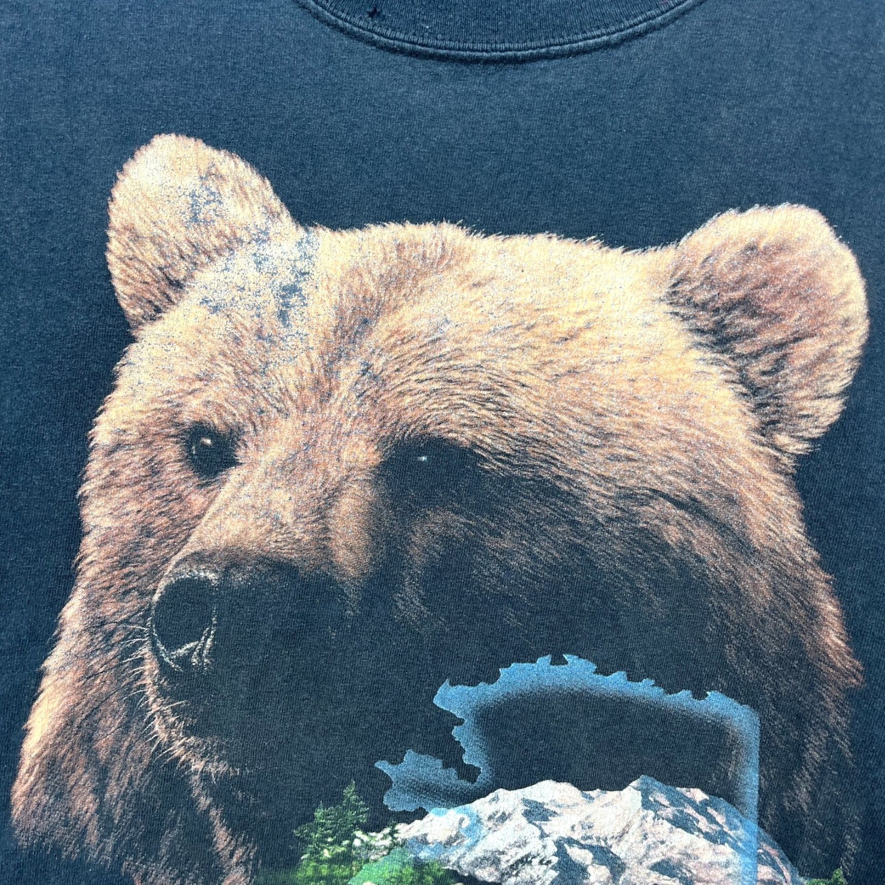 Vintage VINTAGE Grizzly Bear Alaska Nature Animal T Shirt L Men Black 90s Sun Faded Rap Tee Size US L / EU 52-54 / 3 - 3 Thumbnail