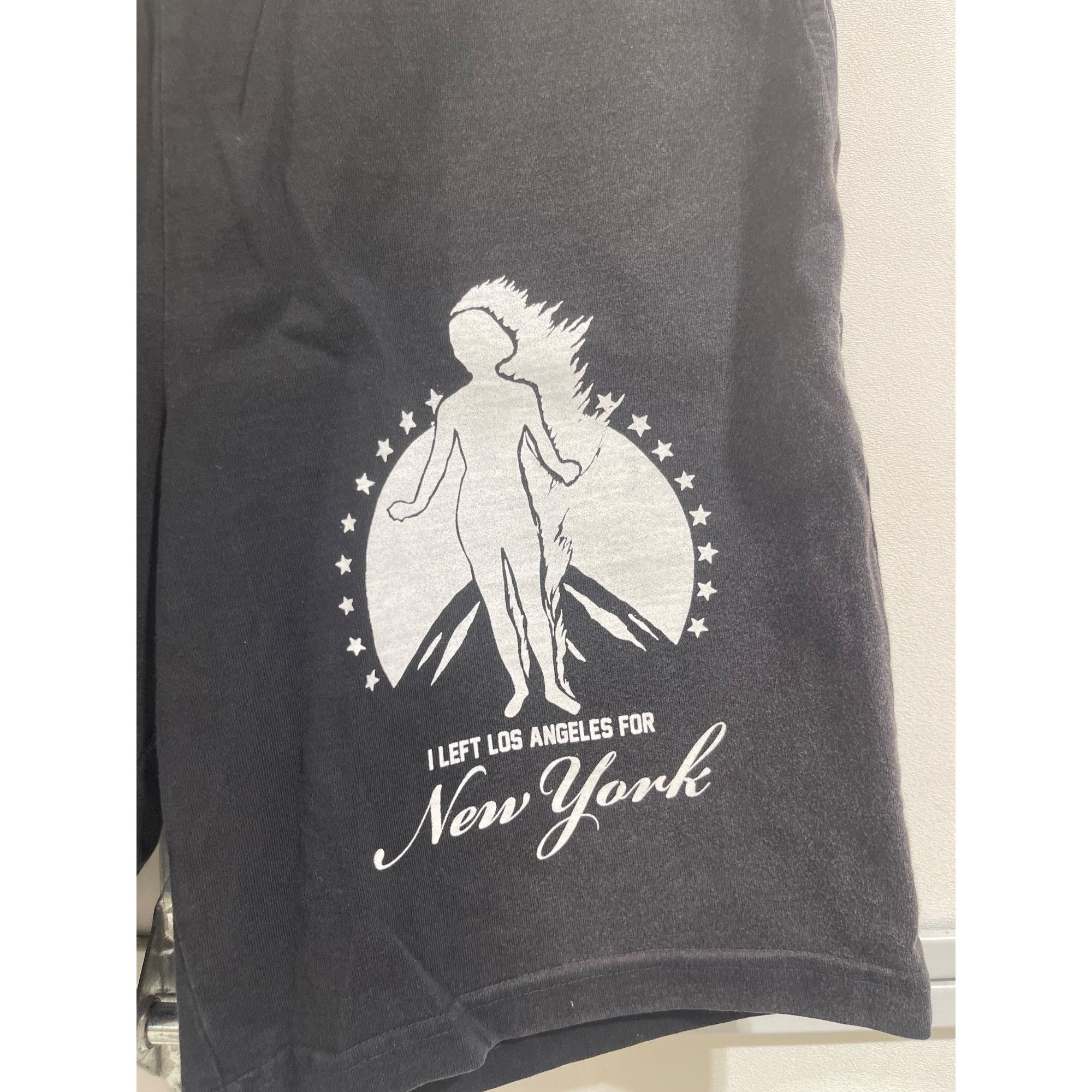 Pleasures NEW PLEASURES LA x NY LOUNGE SHORTS LARGE Size US 34 / EU 50 - 2 Thumbnail