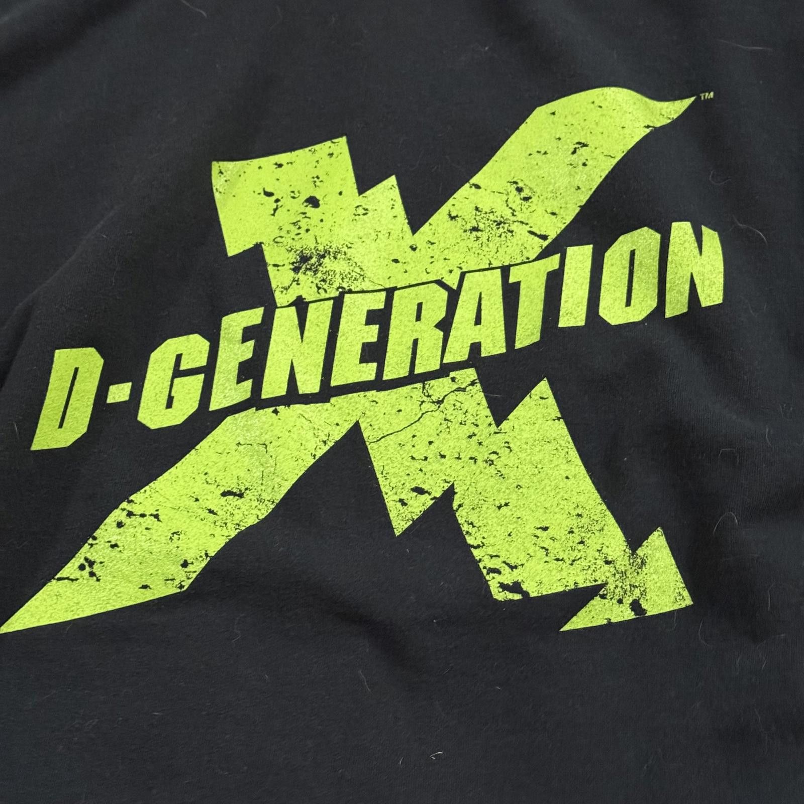 WWE Vintage WWE DX D-Generation X 2008 Hoodie Y2K Wrestling Size US XL / EU 56 / 4 - 10 Thumbnail