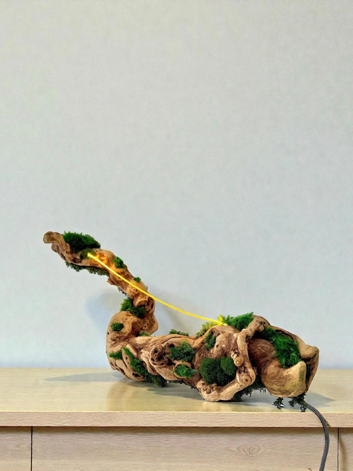 Other Driftwood, Original Grapevine Sculpture Lamp Preserved Moss Size ONE SIZE - 2 Thumbnail