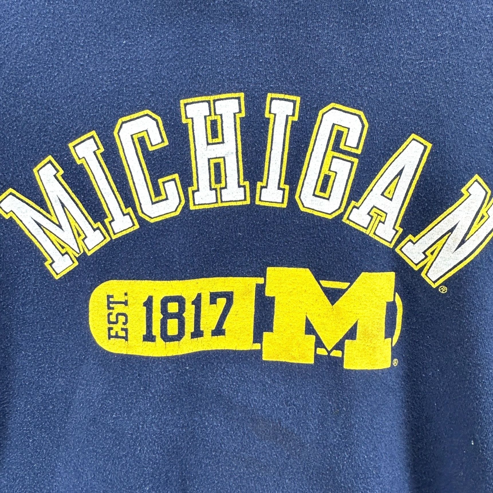 Vintage Pro Edge Michigan Pullover Hoodie Men Large Blue Long Sleeve Pockets Size US L / EU 52-54 / 3 - 4 Thumbnail
