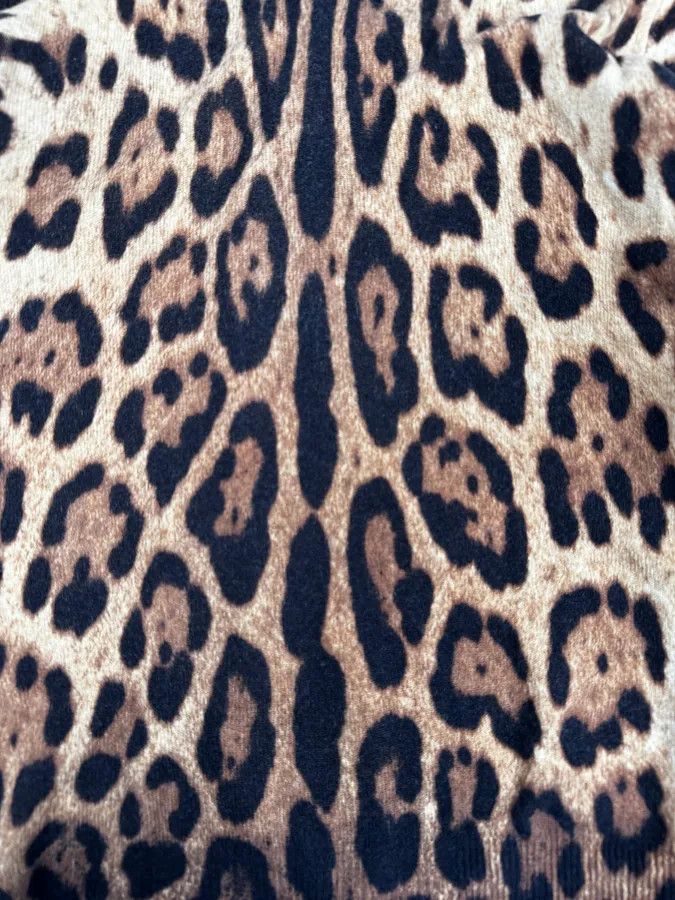 Dolce & Gabbana SS2005 Dolce & Gabbana Camel Leopard Cashmere Cardigan Size S / US 4 / IT 40 - 8 Thumbnail