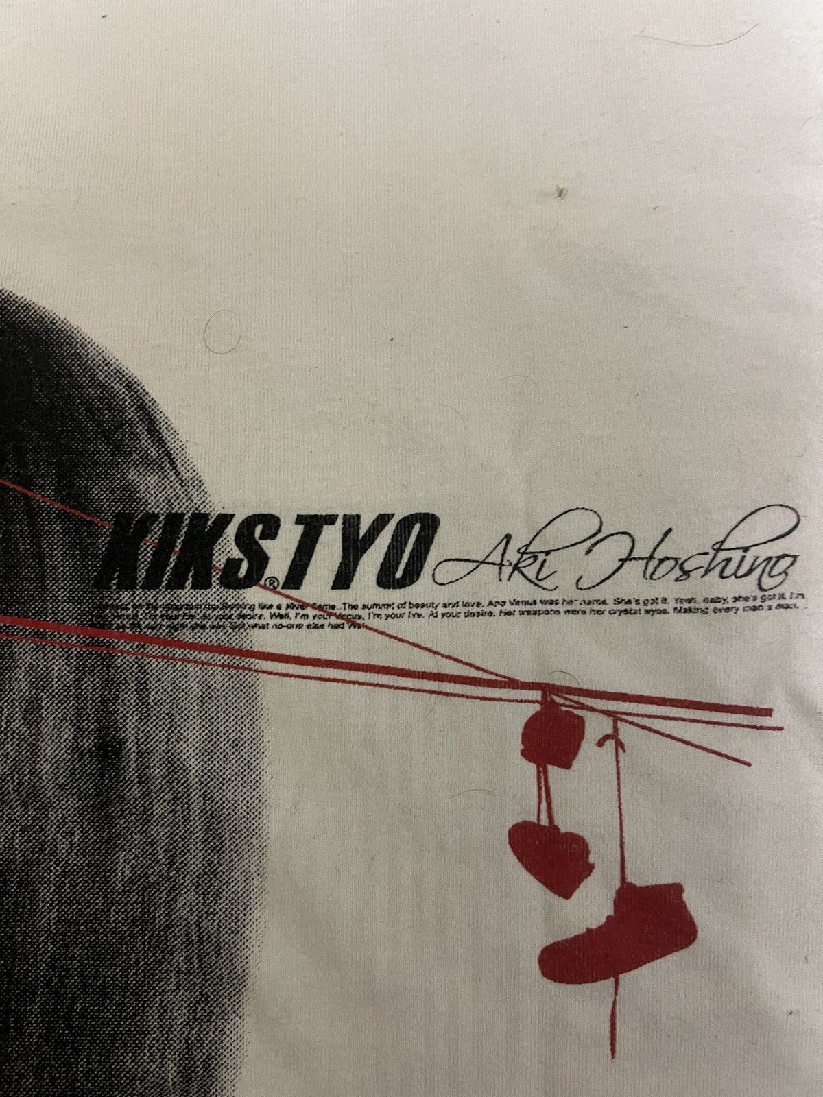 Japanese Brand Kikstyo Aki Hoshing Bikinis Mirror Print Nike Air Jordan one Size US S / EU 44-46 / 1 - 15 Thumbnail