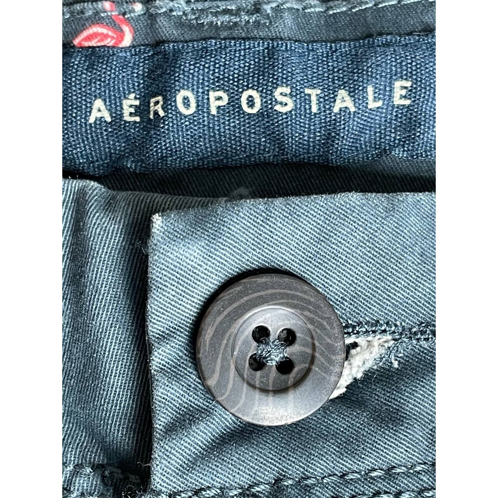 Aeropostale AEROPOSTALE Pink Flamingo print Blue Chino Shorts Size 31 Size US 31 - 10 Thumbnail