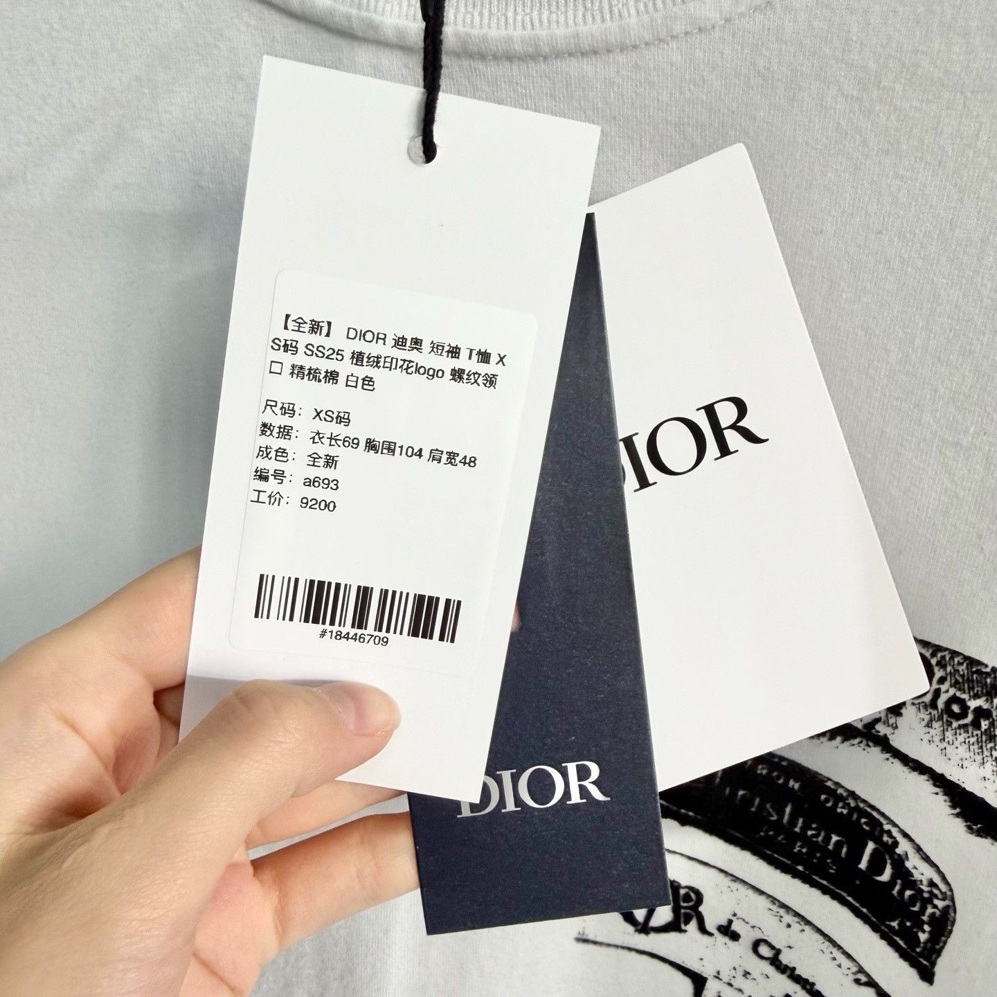 Dior DIOR SS25 Flocked Logo Short Sleeve Tee XS Size US XS / EU 42 / 0 - 5 Thumbnail