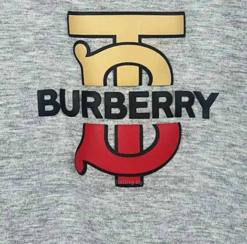 Burberry Burberry Gray Cotton Men's T-Shirt. Size US M / EU 48-50 / 2 - 3 Thumbnail