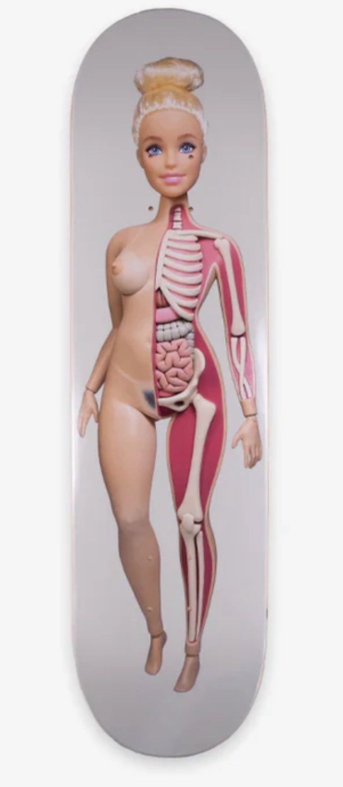 Other Jason Freeny Exposed skate deck Size ONE SIZE - 1 Thumbnail