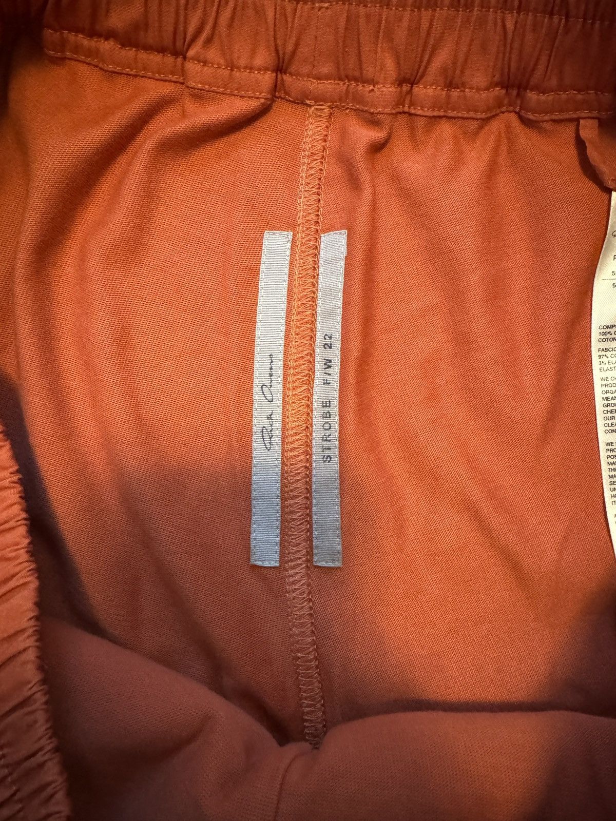 Rick Owens Rick Owens Penta Shorts Size US 36 / EU 52 - 3 Thumbnail