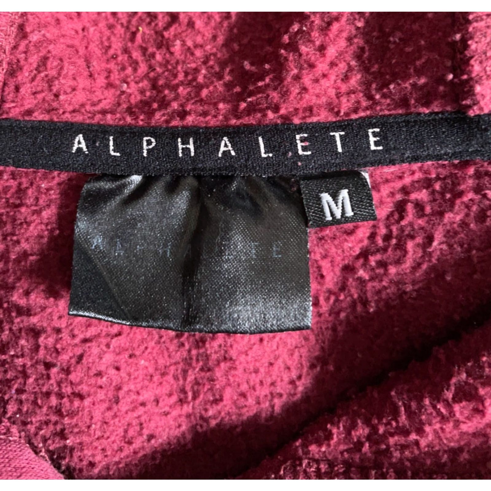 Vintage VINTAGE Alphalete Hoodie Shirt Adult Medium Red Gym Sports Logo Embroidered Pullover Sweatshirt 2016 Mens Sweatshirt Size US M / EU 48-50 / 2 - 3 Thumbnail