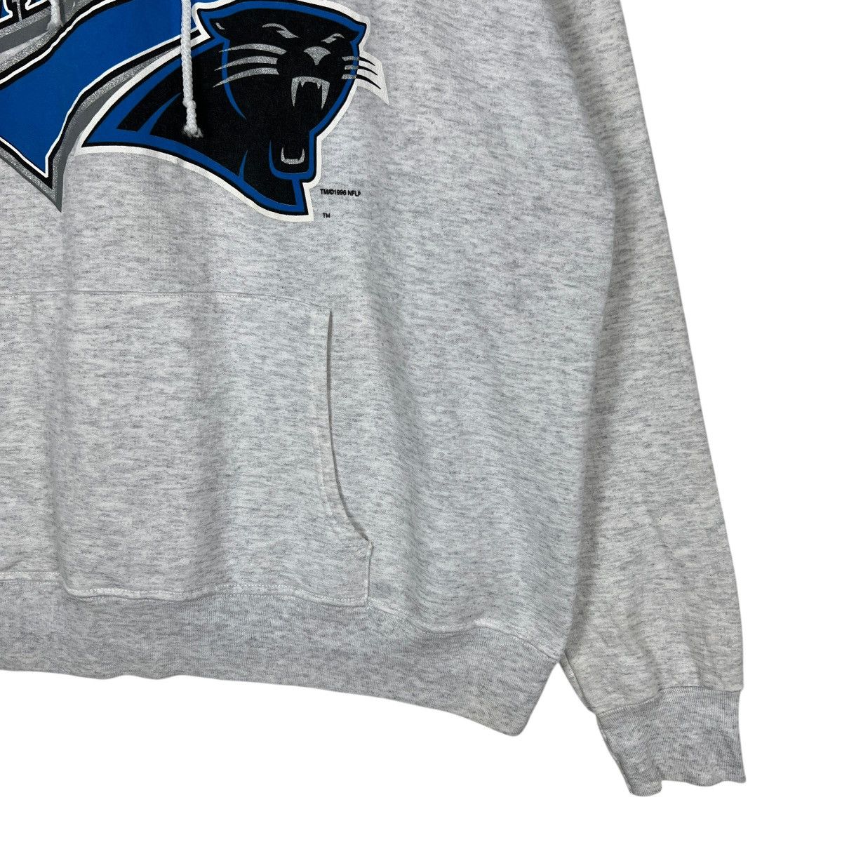 NFL 🔥 90s Vintage Nfl Panther Hoodies Size US XL / EU 56 / 4 - 6 Thumbnail