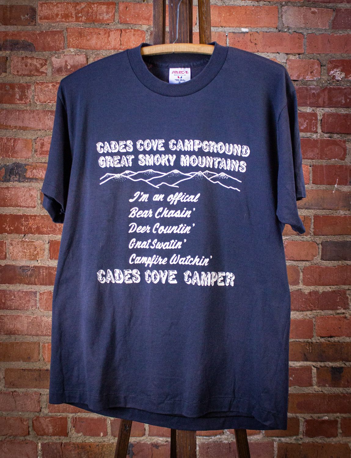 Vintage Vintage Cades Cove Smoky Mountains Graphic T Shirt 90s Size US L / EU 52-54 / 3 - 1 Thumbnail