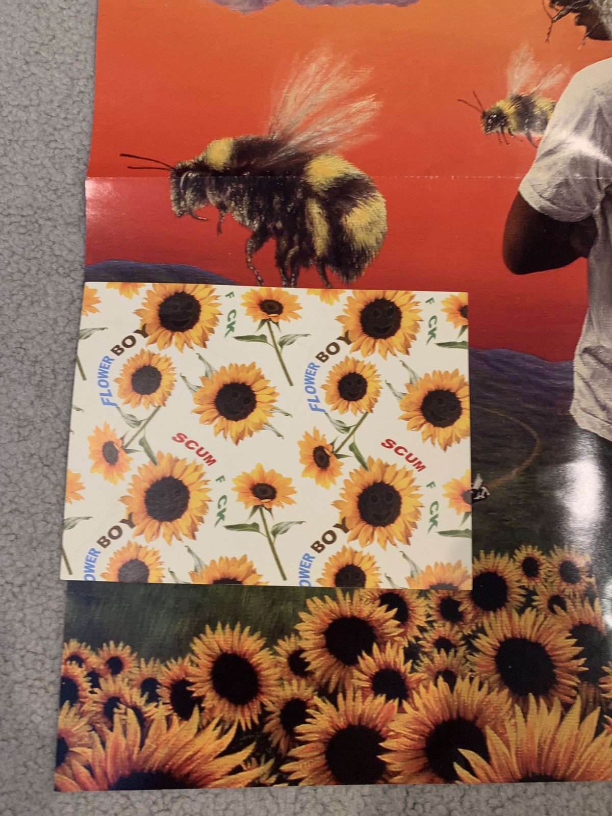 Golf Wang Flower Boy Golf Wang poster and postcard Size ONE SIZE - 2 Thumbnail