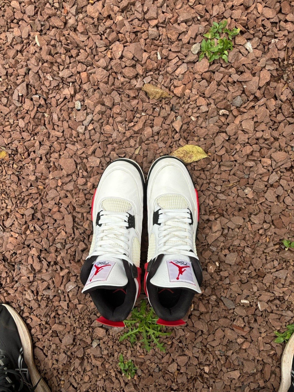 Jordan Brand Air Jordan 4 Retro Red Cement Size US 14 / EU 47 - 3 Thumbnail