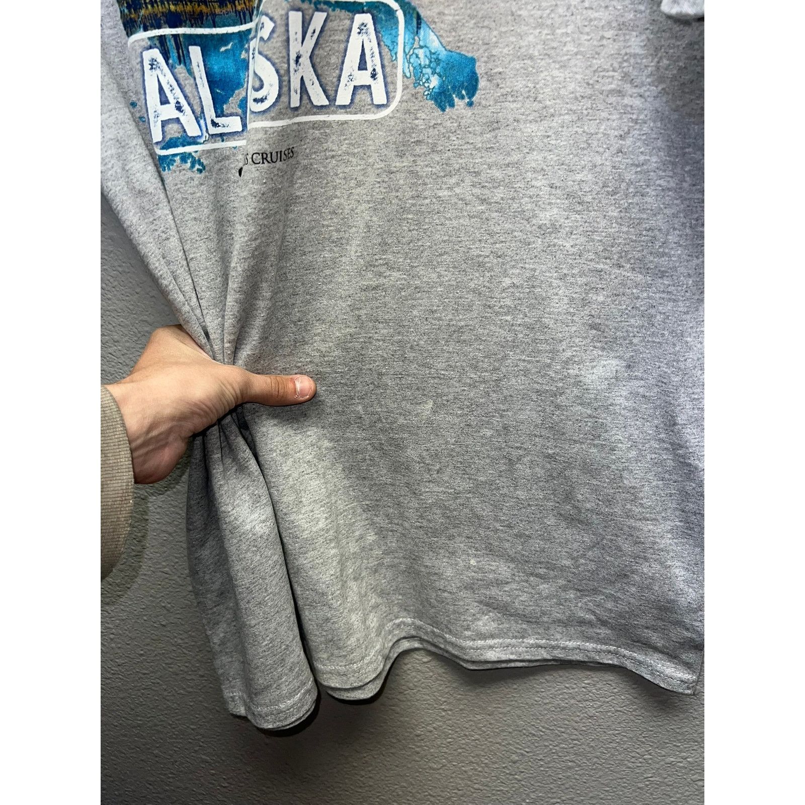 Gildan Alaska Shirt Princess Cruises Bald Eagle Gray Tee Gildan XL Size US XL / EU 56 / 4 - 6 Thumbnail