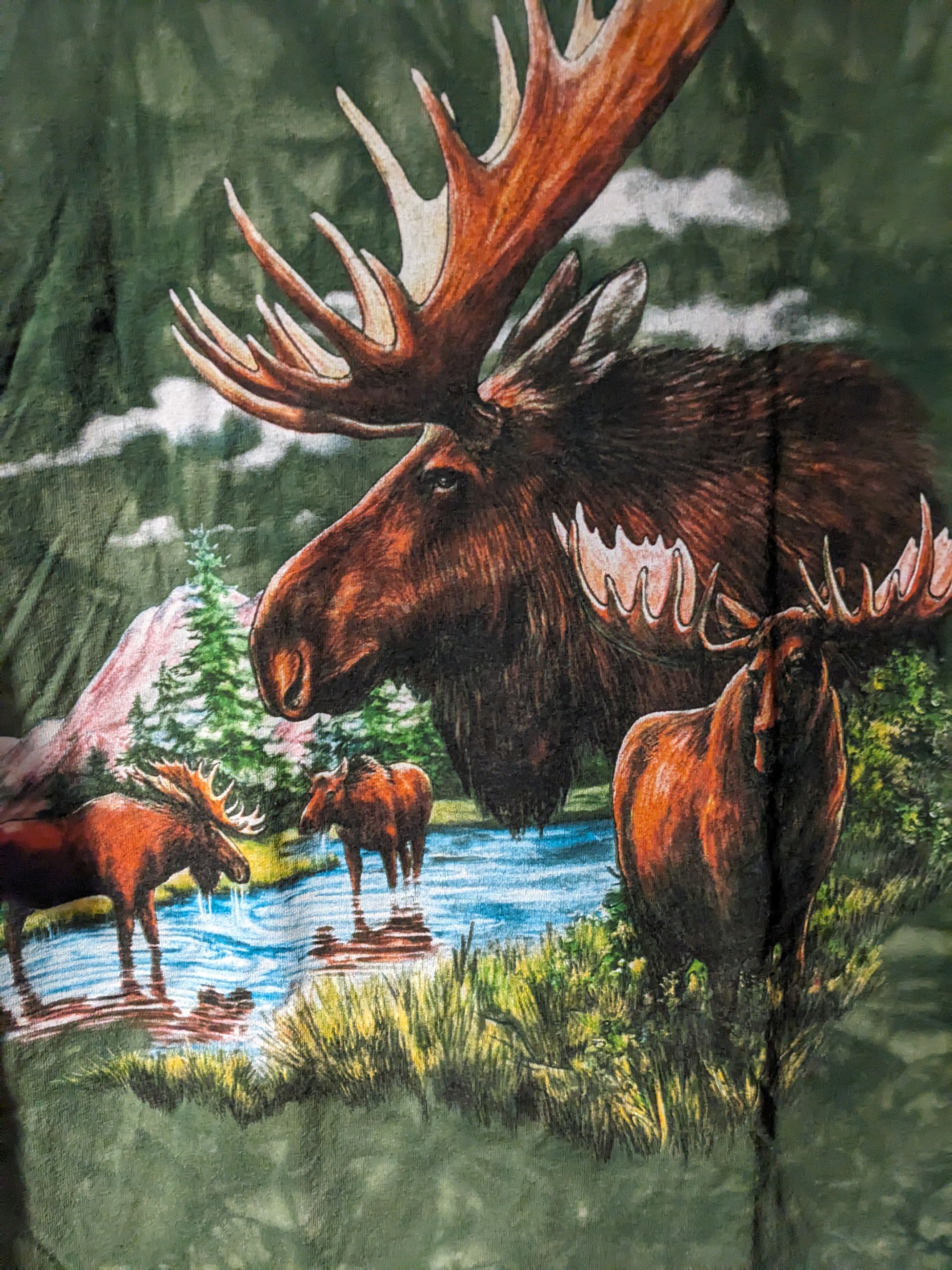 The Mountain × Vintage Vintage Y2K The Mountain Moose Animal Nature Medium T-Shirt Size US M / EU 48-50 / 2 - 2 Thumbnail