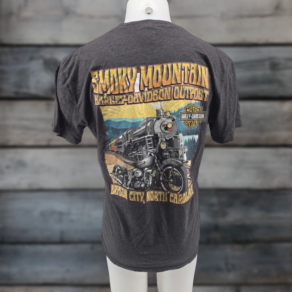 Harley Davidson VINTAGE Harley-Davidson Smoky Mountain Outpost Bryson City NC Graphic Shirt Large Gray Mens T-Shirt City 2000s Size US L / EU 52-54 / 3 - 1 Thumbnail