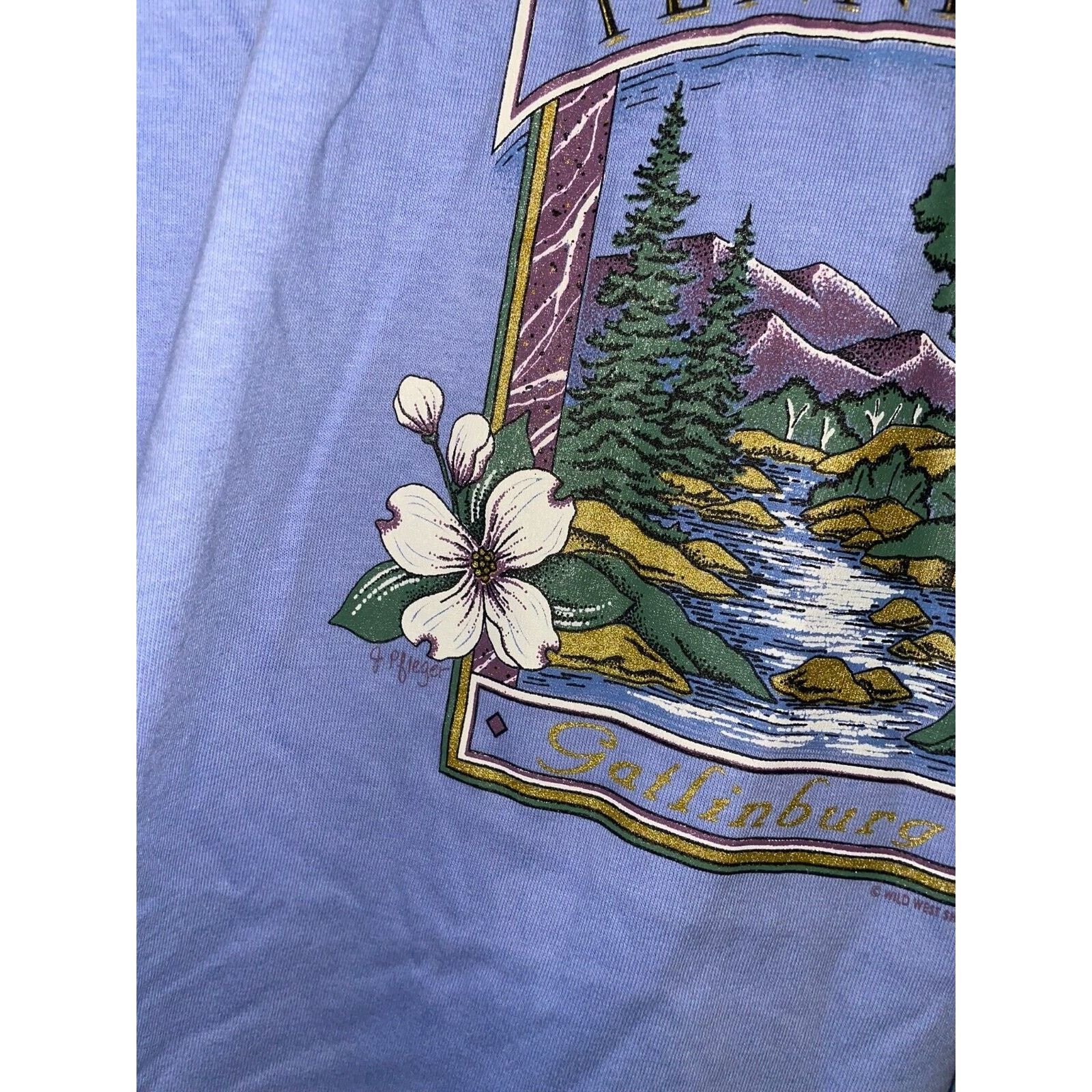 Jerzees Vintage Gatlinburg Shirt TN Tennessee Purple Tee VTG 90s L Size US L / EU 52-54 / 3 - 6 Thumbnail