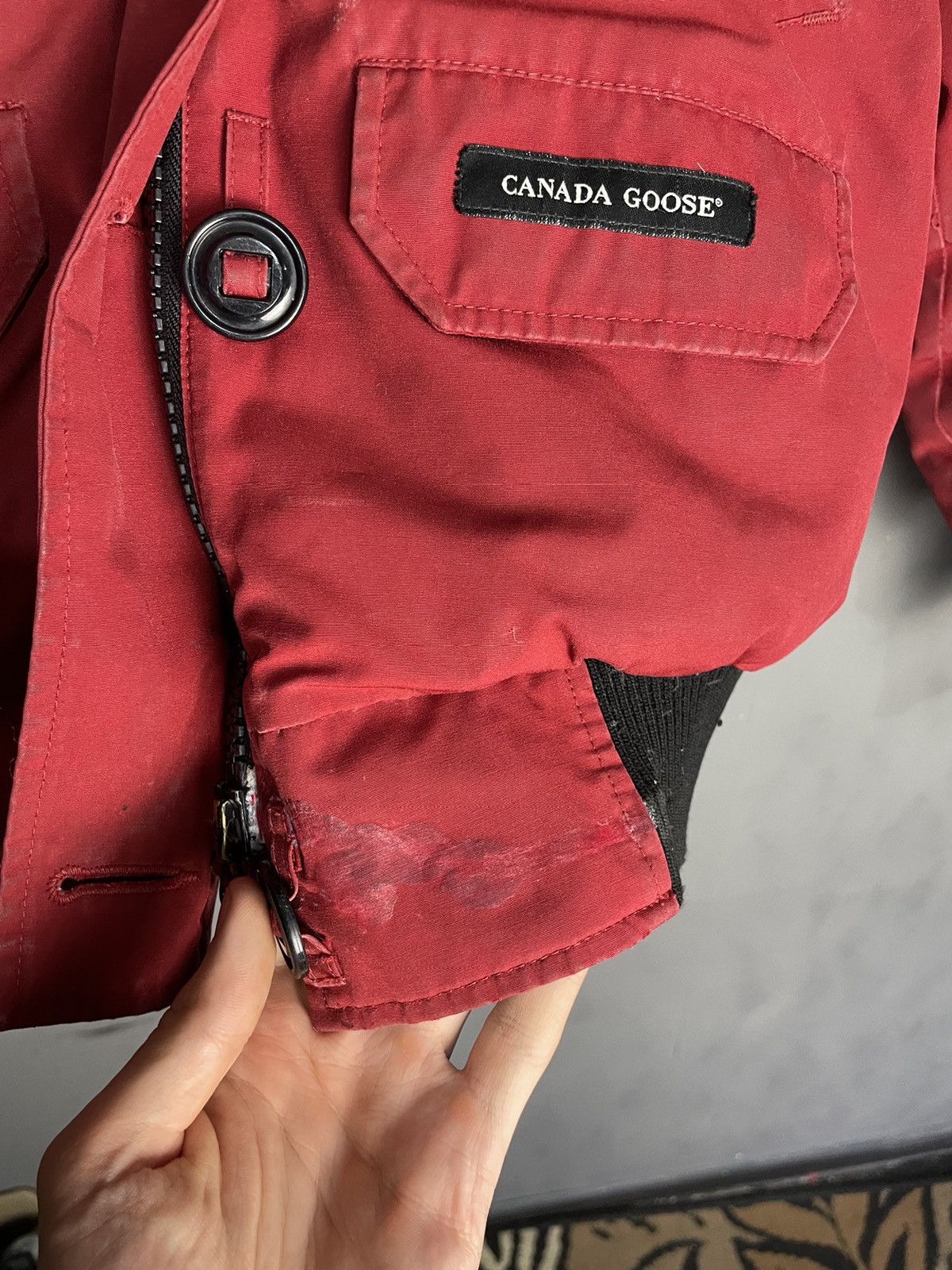 Canada Goose Canada Goose Chilliwack Bomber Fur Jacket Size US S / EU 44-46 / 1 - 4 Thumbnail